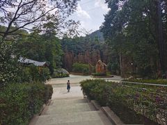 -广州市帽峰山景区