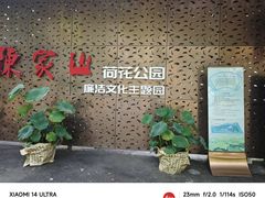 -陈家山荷花公园