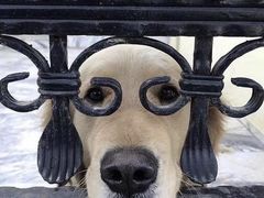 -秃鹫湾·推理大师沉浸式实景演绎推理剧场