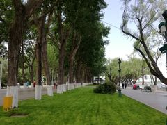 -人民防洪胜利纪念塔