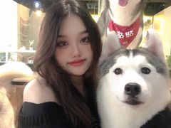 -Husky Go! 哈士奇体验馆·宠物咖啡厅狗咖