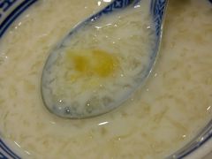 -大中鱼翅 Taitong Shark Fin
