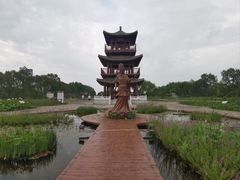 -白洋淀景区