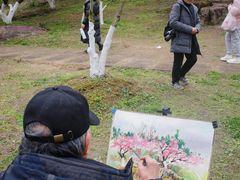 -秀丽东方