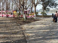 -长白岛森林公园