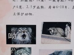 -青藏高原野生动物园