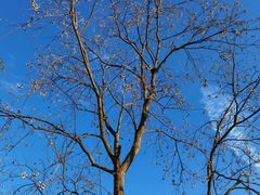 -天台山琼台仙谷景区