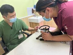 -瑞鹏宠物医院犬猫全科(真大分院)