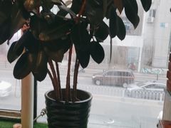 -惠友大虾(太原北街店)