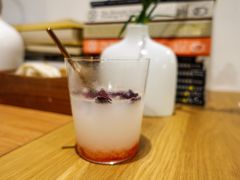 -柴务处·柴犬主题狗咖