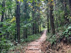 -素山寺森林公园