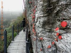 -祁门牯牛降观音堂风景区