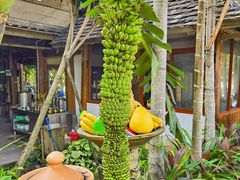 -西双版纳傣族园