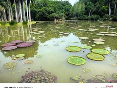 -中国科学院西双版纳热带植物园