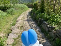 -会稽山峡洞漂流-上青古道