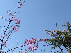 -晋江五店市传统文化旅游区