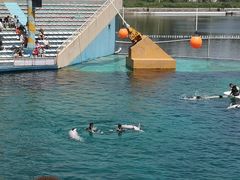 -秦皇岛乐岛海洋王国