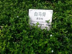 android_upload_pic-广州神农草堂中医药博物馆