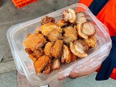 脆皮五花肉-脆皮五花肉(建东街旗舰店)