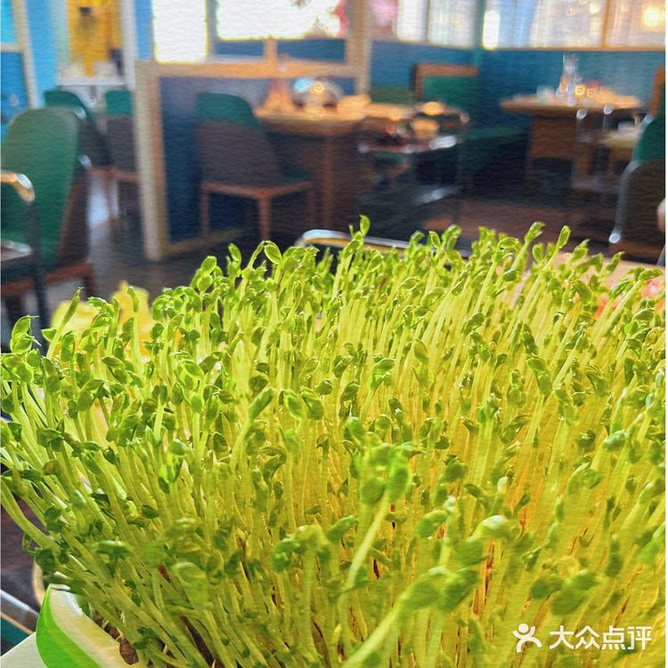 海鲜还是蒸的好