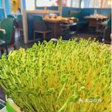 海鲜还是蒸的好