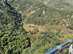 -宁波五龙潭景区