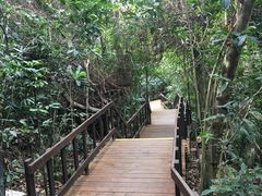 -七仙岭温泉国家森林公园