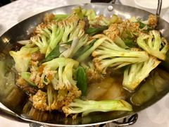 -金蝉食府(维吉奥广场店)