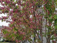 -元大都城垣遗址公园