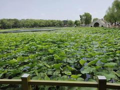 -长春市南湖公园