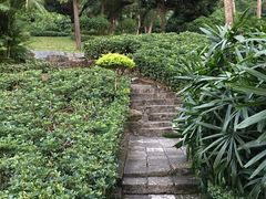 -炮台山公园