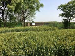 -同里国家湿地公园