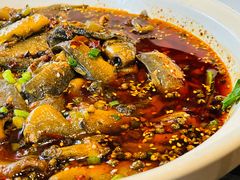 情妹耙泥鳅-情妹耙泥鳅·江湖川菜(科华店)