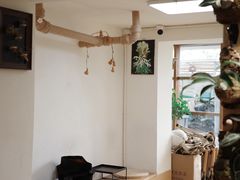 -本無咖啡·BeanWood Coffee