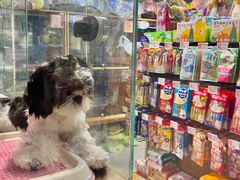 -FAELING PETS美天灵宠物(富力广场店)