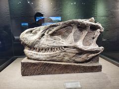 -自贡恐龙博物馆