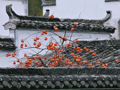-塔川景区