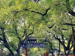-北京国子监胡同
