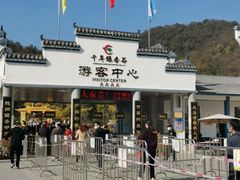 -千年银杏谷文化旅游区