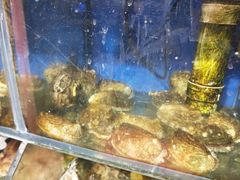 水产区-香满居张记小厨私房菜(青岛站店)