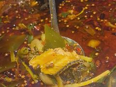 -胖子鱼·天水麻辣鱼火锅(秦州407店)