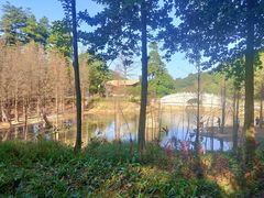 -广州市帽峰山景区
