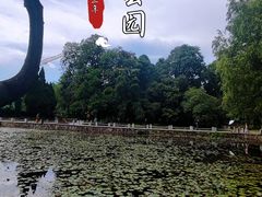 -花溪公园