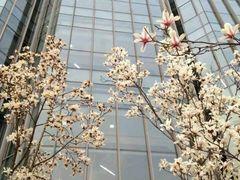 -同济大学(嘉定校区)