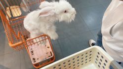 -Moni星球萌宠·小马宝莉·灵蛇·高端高阶全萌宠互动体验俱乐部(红豆国际广场店)