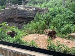 -大连森林动物园