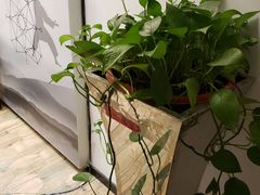 -医济堂·中医养生·经络理疗(凤凰西街店)