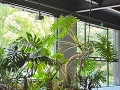 -J Create城市露营咖啡·简餐·宠物(上海动物园店)