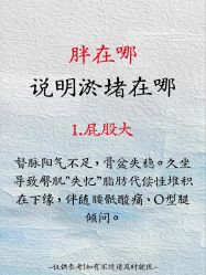 点击看大图 -玛莲朵·海菲秀冰珀科