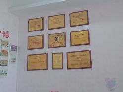 -香薇妮丝·定制减肥·身材管理